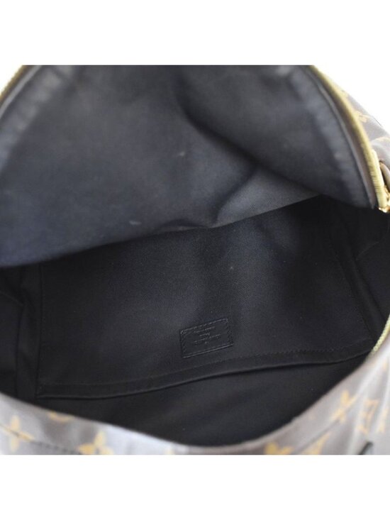 Louis Vuitton Palm Springs Backpack PM Monogram Brown